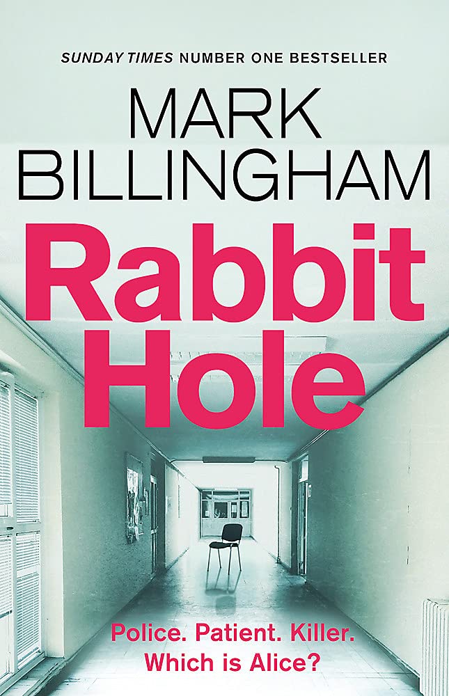 Rabbit Hole: The new masterpiece from the Sunday Times number one bestseller cover image